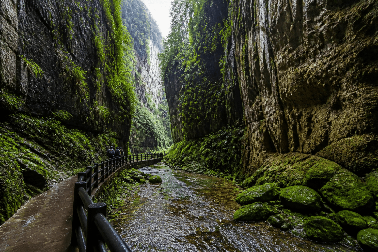 Deep, damp Longshuixia-style fissure gorge with handrails, shallow water and tiny visitors