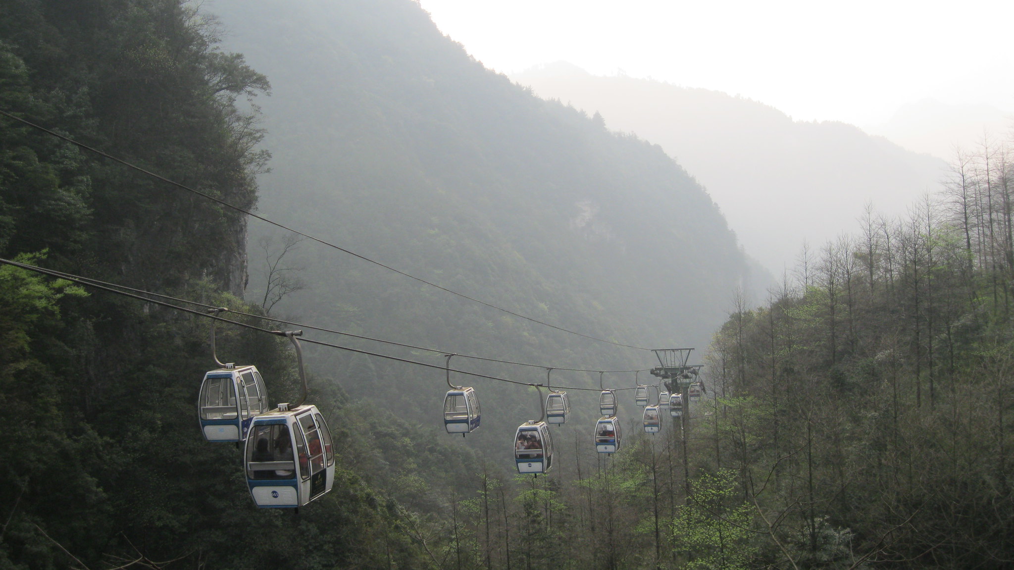 Kabin kereta gantung di atas lembah berhutan di Black Valley, dengan lereng berkabut di belakang